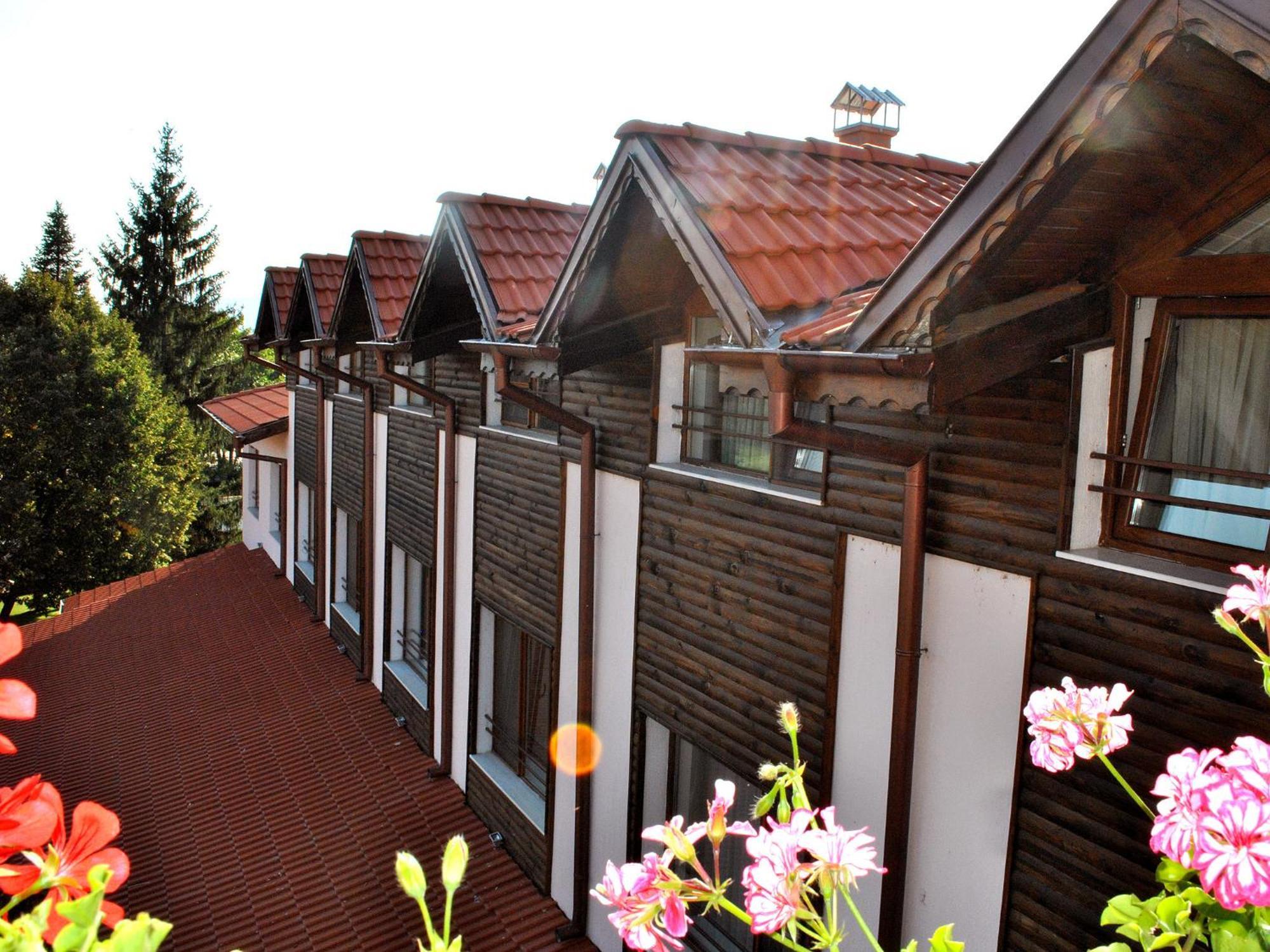 Spa Hotel Ivelia Dubnitsa Bilik gambar